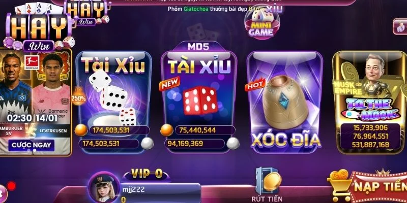 Tài xỉu Haywin cá cược đặc biệt.